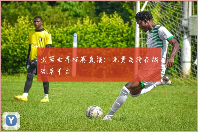 女篮世界杯赛直播:免费高清在线观看平台