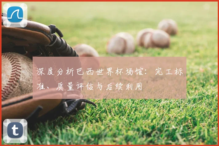深度分析巴西世界杯场馆：完工标准、质量评估与后续利用
